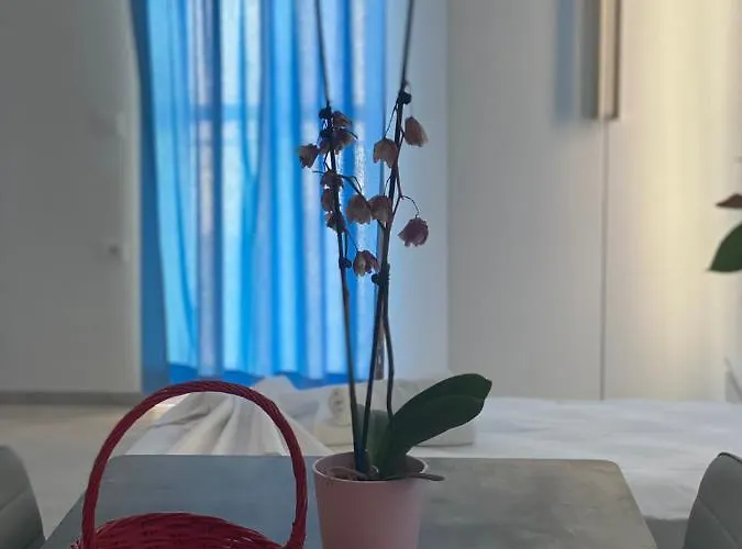 Apartment Casa Argo *